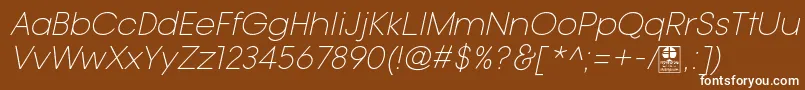TypoGotikaLightItalicDemo-fontti – valkoiset fontit ruskealla taustalla