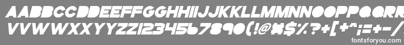 Gogoposterpunchbolditalic Font – White Fonts on Gray Background