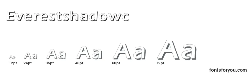 Размеры шрифта Everestshadowc