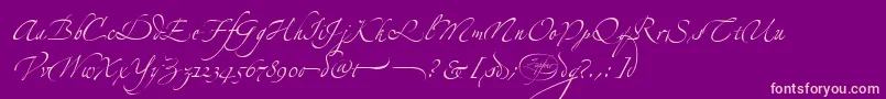 LinotypezapfinoFour Font – Pink Fonts on Purple Background