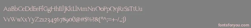 フォントVenturaTimes – 灰色の背景にピンクのフォント