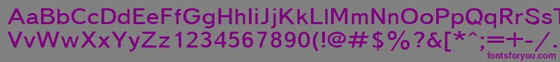 Textbook155n Font – Purple Fonts on Gray Background