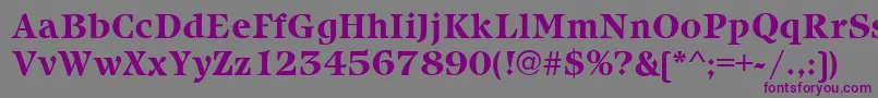 IcebergBold-fontti – violetit fontit harmaalla taustalla