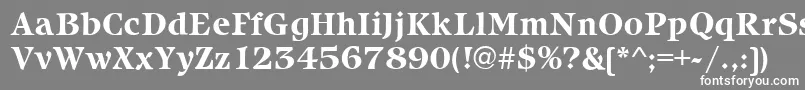 フォントIcebergBold – 灰色の背景に白い文字