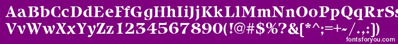 IcebergBold Font – White Fonts on Purple Background