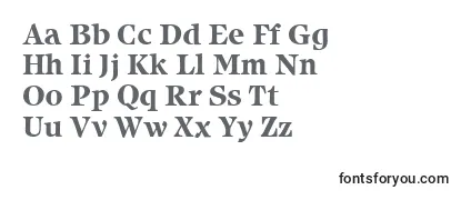 Review of the IcebergBold Font