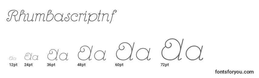 Rhumbascriptnf Font Sizes