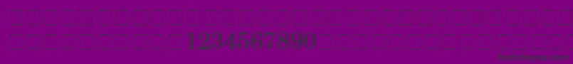 CenturySchoolbookReprisefractionsSsiFractions Font – Black Fonts on Purple Background