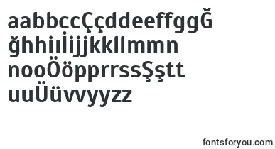 ScadaBold font – turkish Fonts