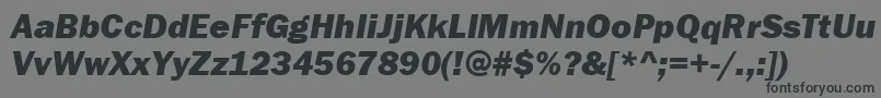 StGothicHvHeavyItalic Font – Black Fonts on Gray Background