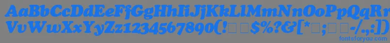 CooperBlackItalic Font – Blue Fonts on Gray Background