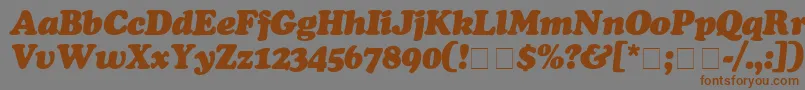 CooperBlackItalic Font – Brown Fonts on Gray Background