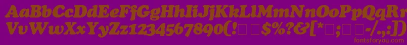 CooperBlackItalic Font – Brown Fonts on Purple Background