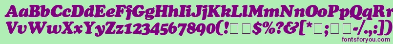 CooperBlackItalic Font – Purple Fonts on Green Background