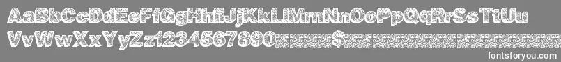 Animalplanet Font – White Fonts on Gray Background