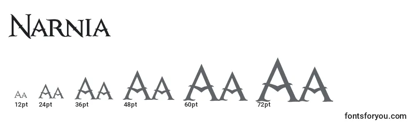 Размеры шрифта Narnia