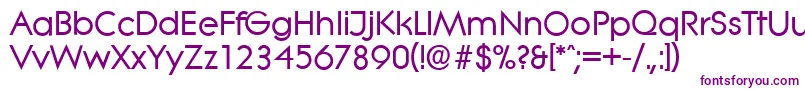 LiteraserialBold Font – Purple Fonts