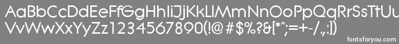 フォントLiteraserialBold – 灰色の背景に白い文字