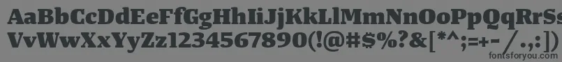 TangerserifwideHeavy-Schriftart – Schwarze Schriften auf grauem Hintergrund