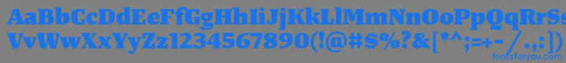 TangerserifwideHeavy Font – Blue Fonts on Gray Background