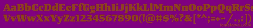 TangerserifwideHeavy Font – Brown Fonts on Purple Background