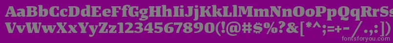 TangerserifwideHeavy Font – Gray Fonts on Purple Background