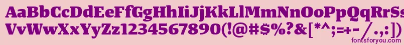 TangerserifwideHeavy Font – Purple Fonts on Pink Background