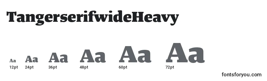 TangerserifwideHeavy Font Sizes