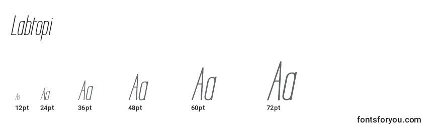 Labtopi Font Sizes