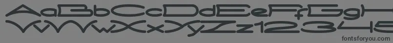 MetroCity Font – Black Fonts on Gray Background