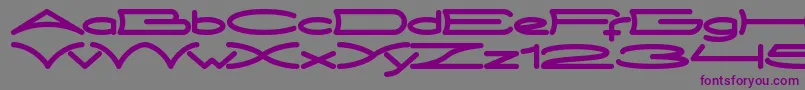 MetroCity Font – Purple Fonts on Gray Background