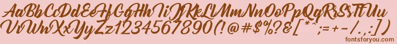 Bernadette Font – Brown Fonts on Pink Background