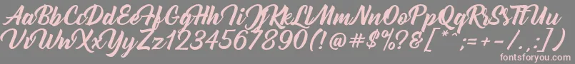Bernadette Font – Pink Fonts on Gray Background
