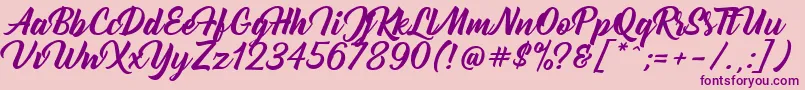 Bernadette Font – Purple Fonts on Pink Background