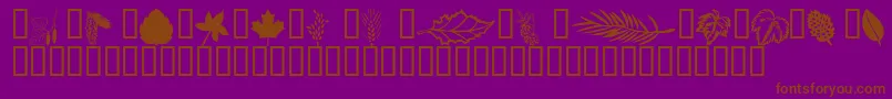 Wmleaves1 Font – Brown Fonts on Purple Background