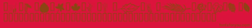 Wmleaves1 Font – Brown Fonts on Red Background