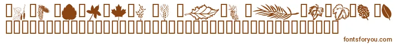 Шрифт Wmleaves1 – коричневые шрифты на белом фоне