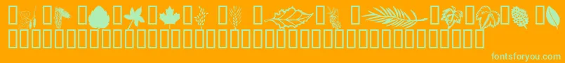Wmleaves1 Font – Green Fonts on Orange Background