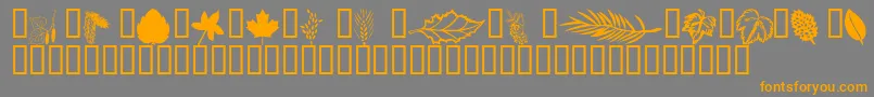 Wmleaves1 Font – Orange Fonts on Gray Background