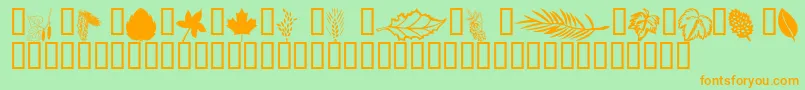 Wmleaves1 Font – Orange Fonts on Green Background