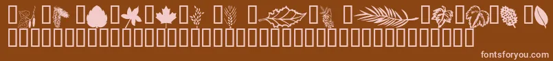 Wmleaves1 Font – Pink Fonts on Brown Background