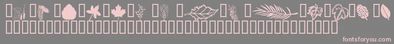 Wmleaves1 Font – Pink Fonts on Gray Background