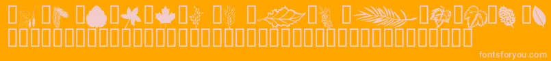 Wmleaves1-fontti – vaaleanpunaiset fontit oranssilla taustalla