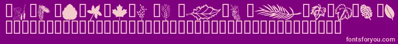 Wmleaves1 Font – Pink Fonts on Purple Background