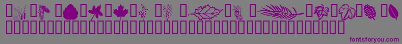 Czcionka Wmleaves1 – fioletowe czcionki na szarym tle