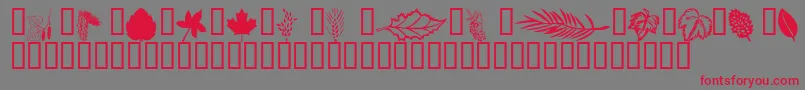 Wmleaves1 Font – Red Fonts on Gray Background