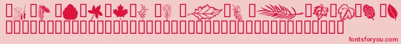Wmleaves1 Font – Red Fonts on Pink Background