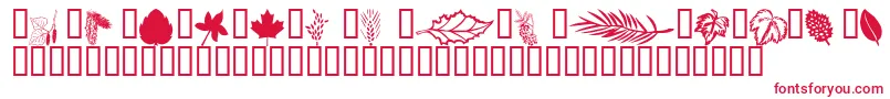 フォントWmleaves1 – 白い背景に赤い文字