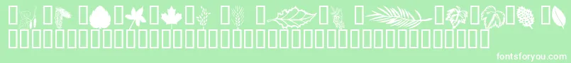 Wmleaves1 Font – White Fonts on Green Background