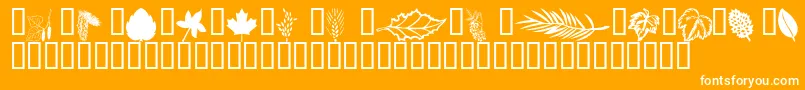 Wmleaves1 Font – White Fonts on Orange Background